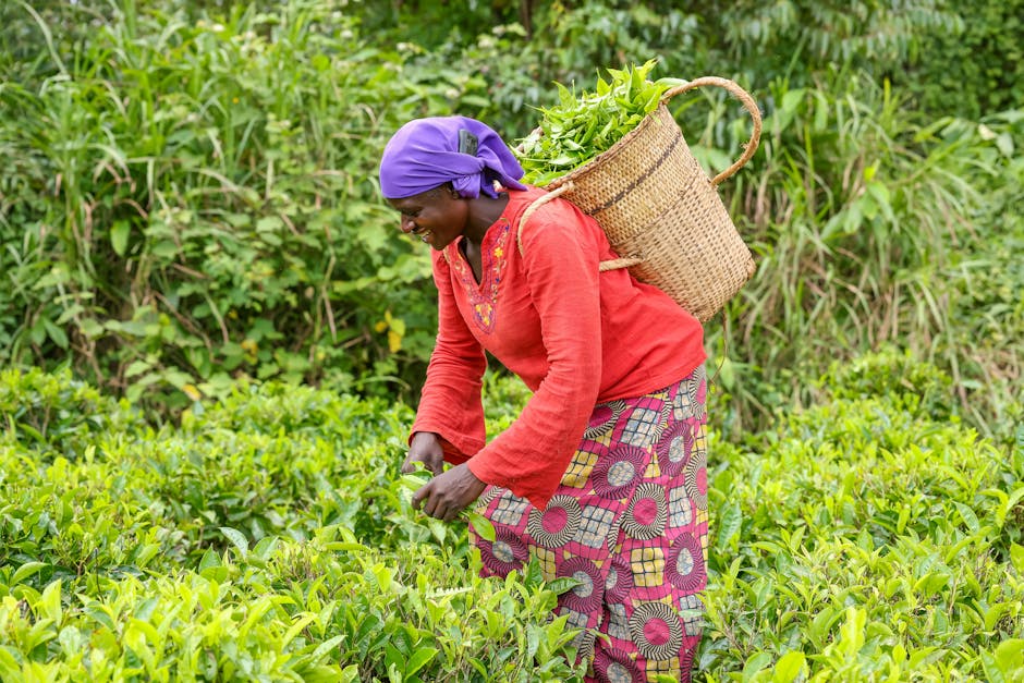 ¿Cuánto cobra un agricultor?