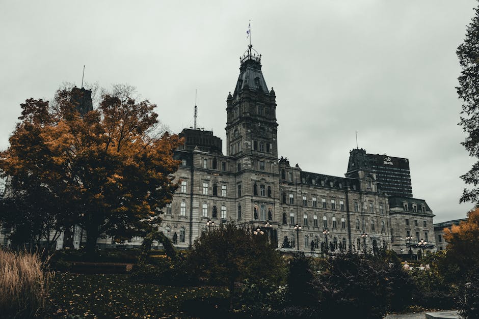 ¿Cuánto cobra un senador?